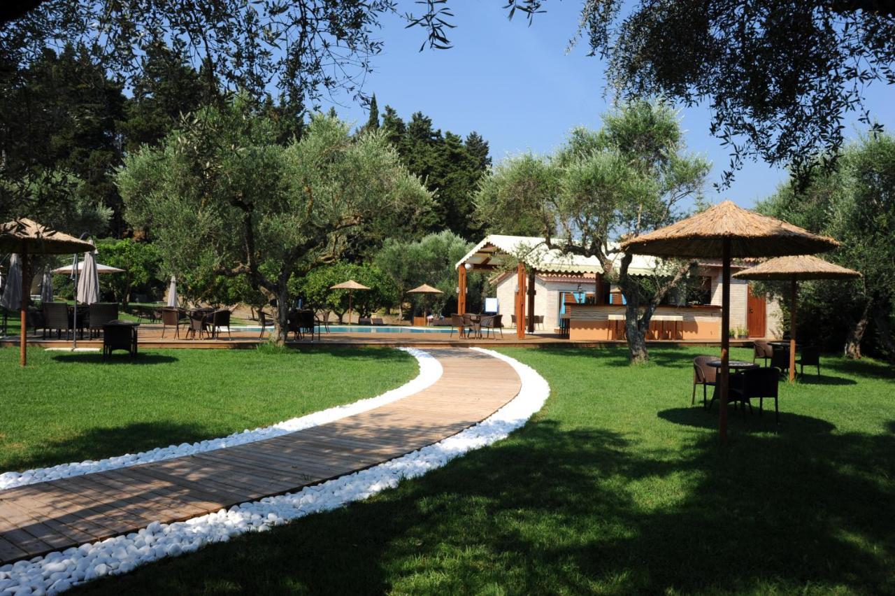 Eleas Gi Tsilivi (Zakynthos)